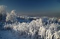 823 - hoar frost on hilltop - MC CANCE William - scotland
